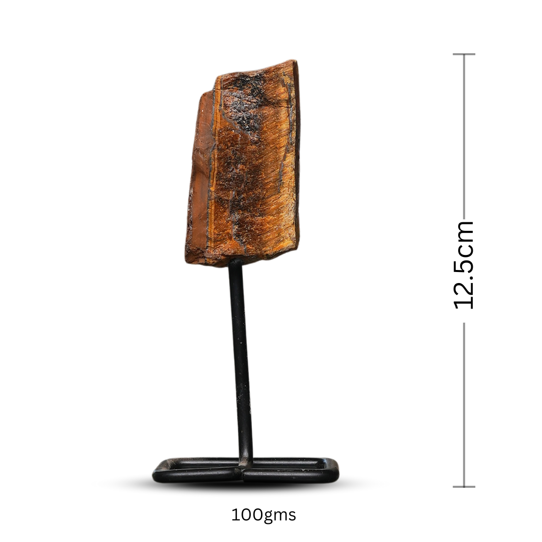 Tiger Eye Raw Stone Stand