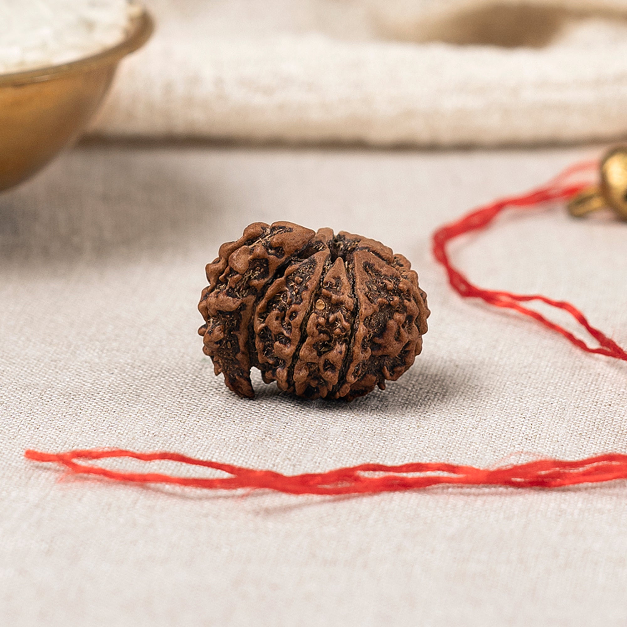 1 Mukhi Savar Rudraksha – Original Nepali Bead