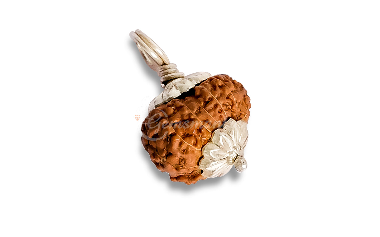 12 Mukhi Rudraksha (Indo)