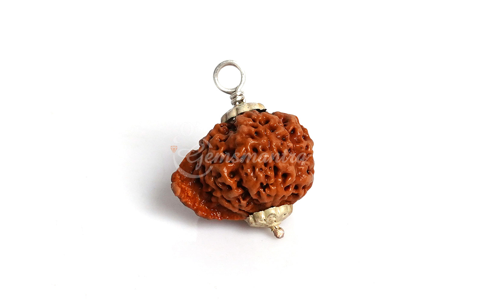 Ganesha Rudraksha