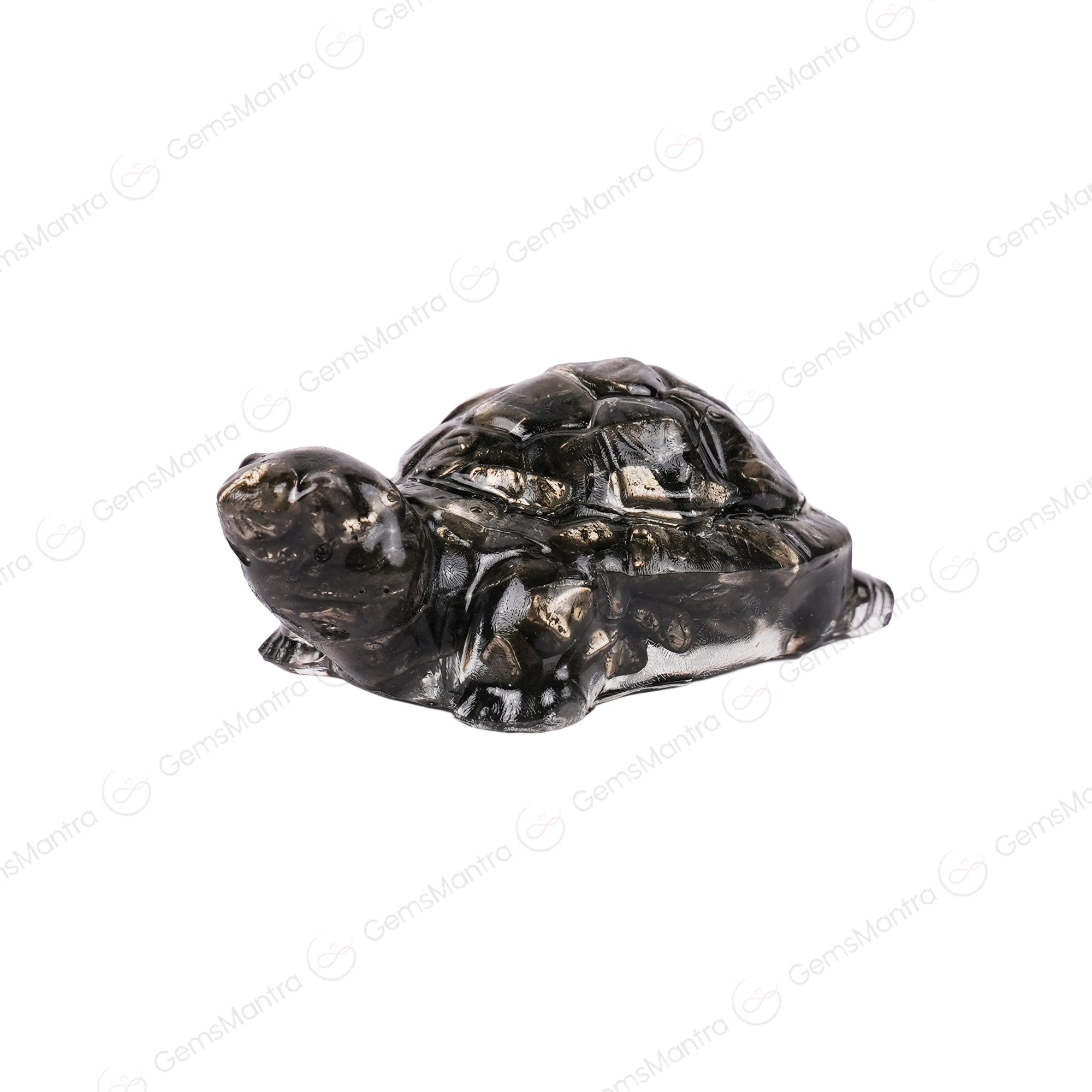 The Vastu Pyrite Tortoise