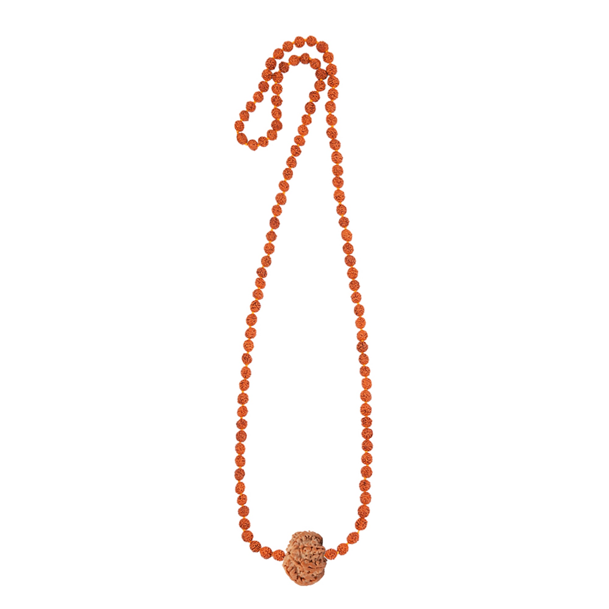 Panch Saptarishi Energy Mala – 7 Mukhi Rudraksha