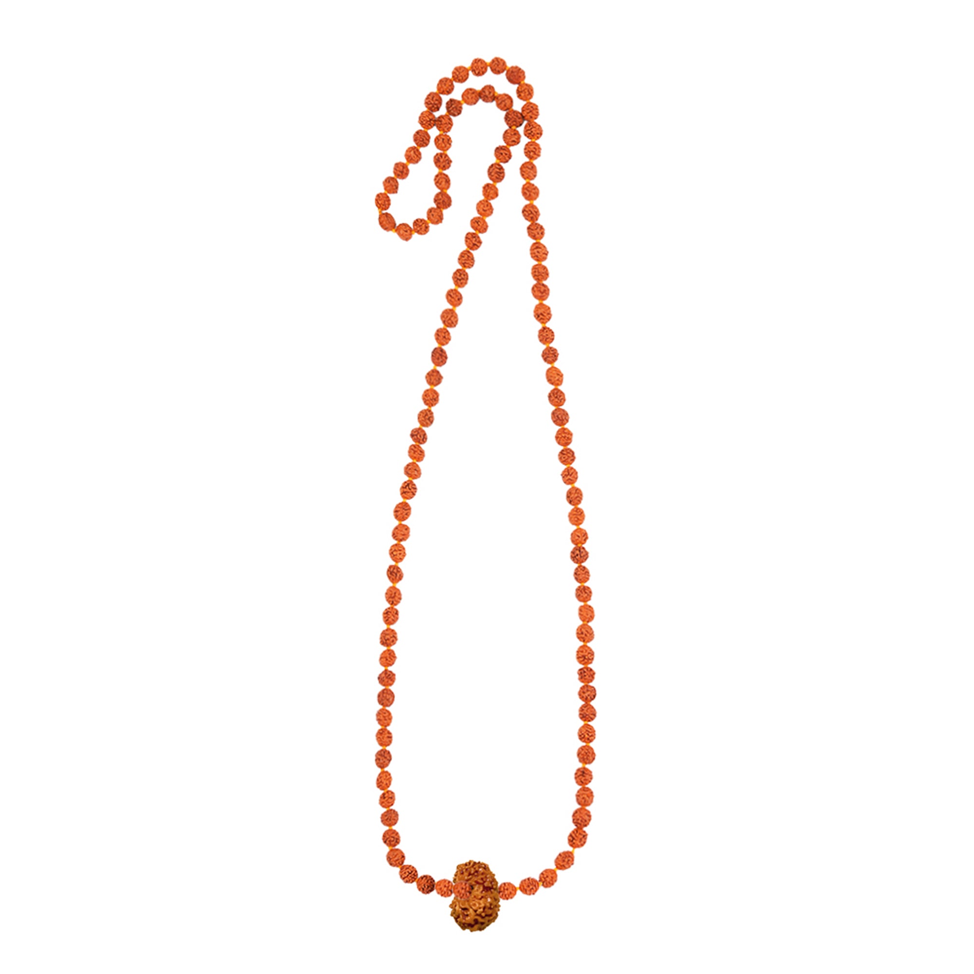 Trinetra Rudra Mala – 14 Mukhi Rudraksha
