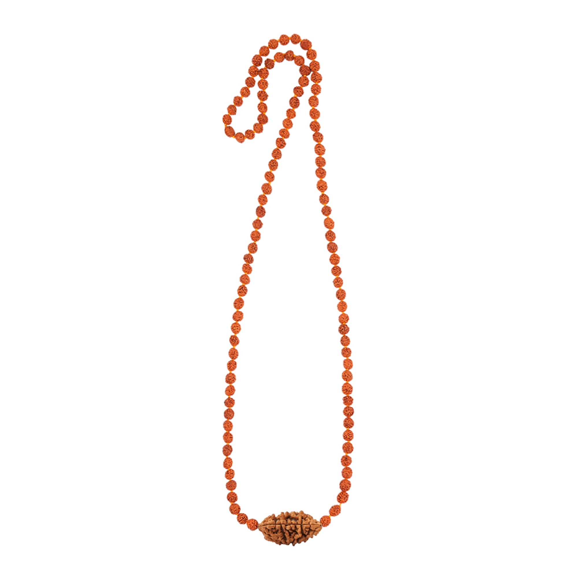 Shiva Sankalp Mala – 1 Mukhi Rudraksha