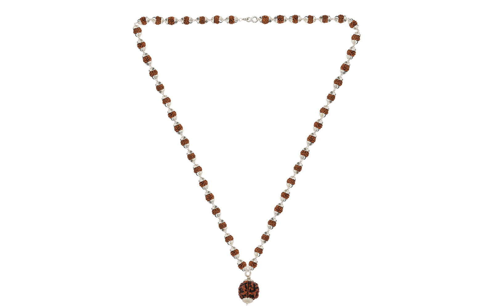 4 Mukhi Rudraksha (Nepali)