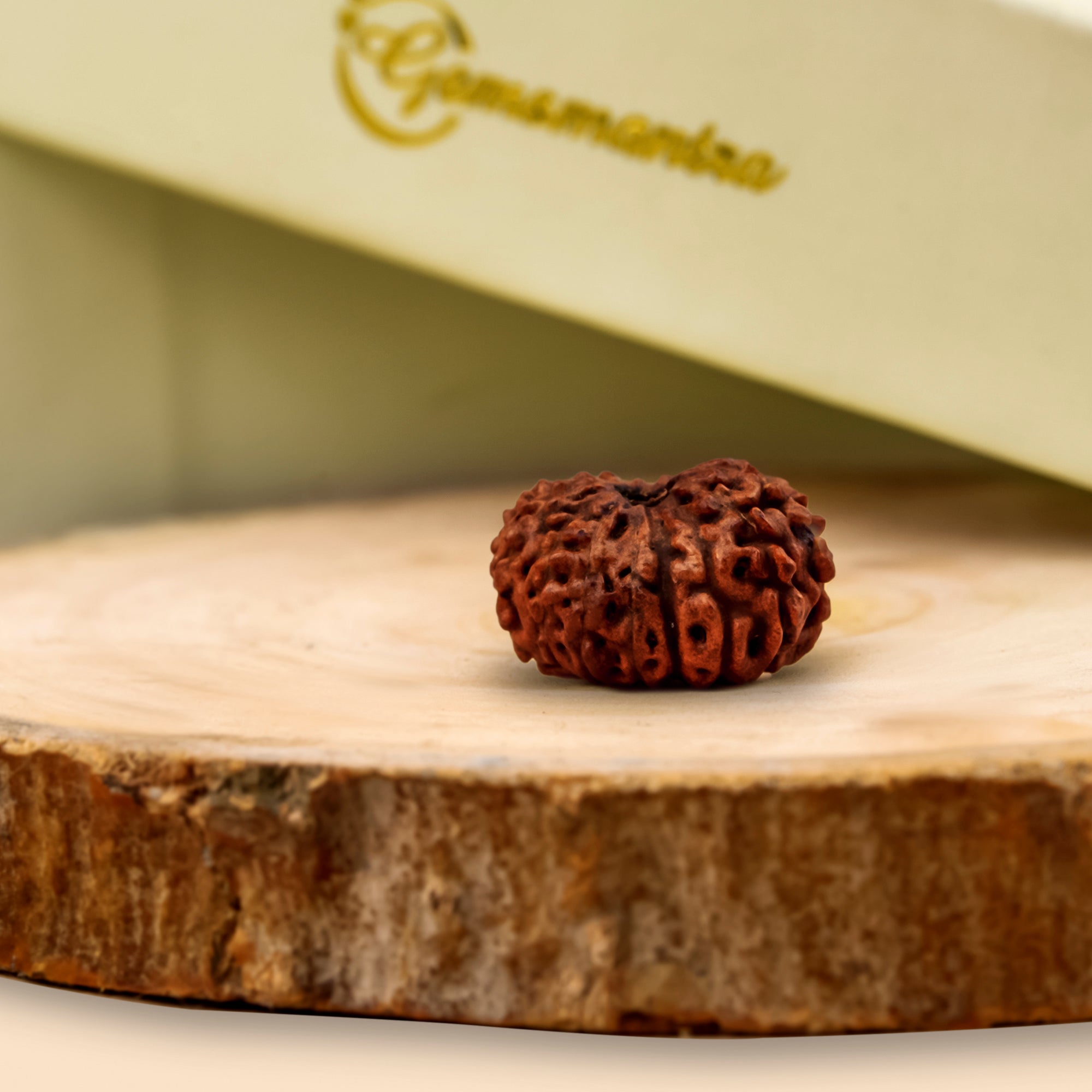 16 Mukhi Natural Rudraksha