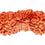 Natural 27 Mukhi Natural Rudraksha (Indo)