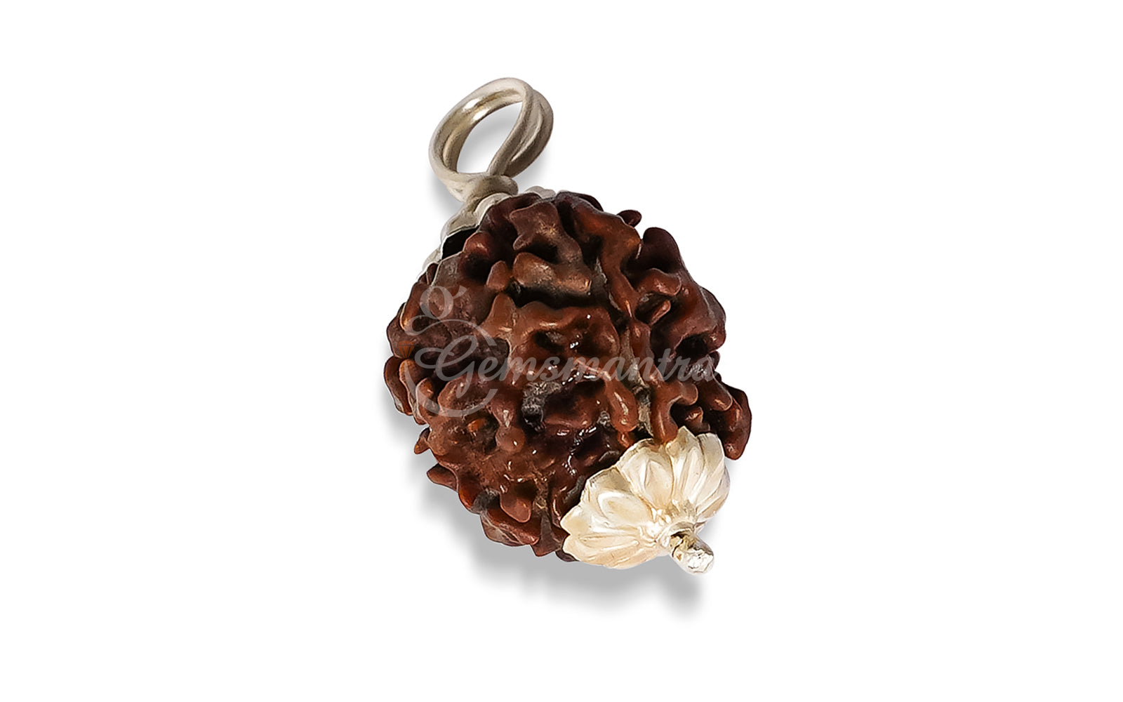 4 Mukhi Rudraksha (Nepali)