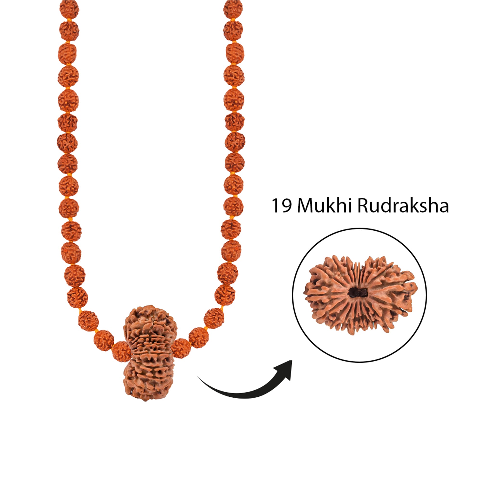 Panch Shakti Vishnu Vishwarupa Mala – 19 Mukhi Rudraksha