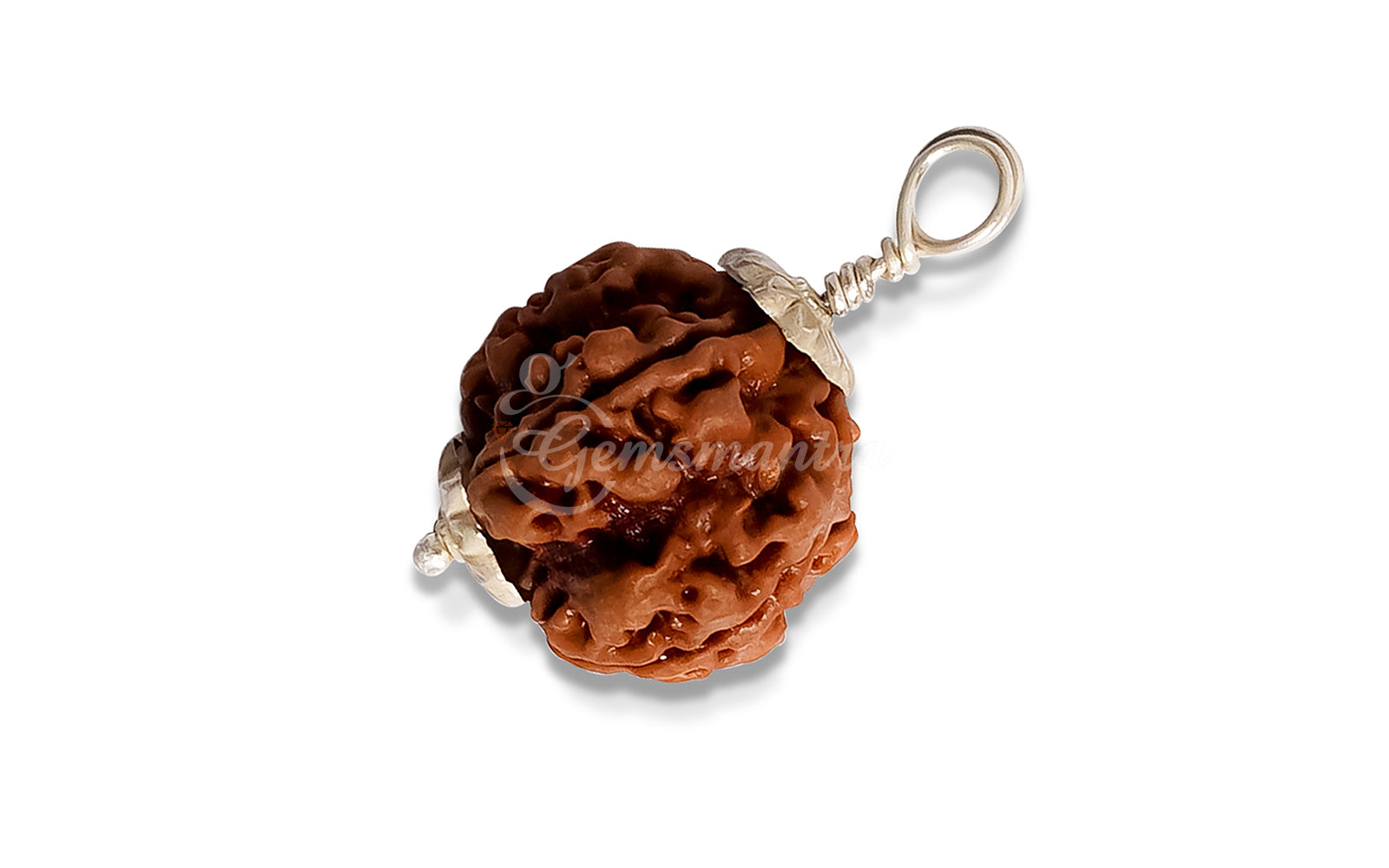 5 Mukhi Rudraksha (Nepali)