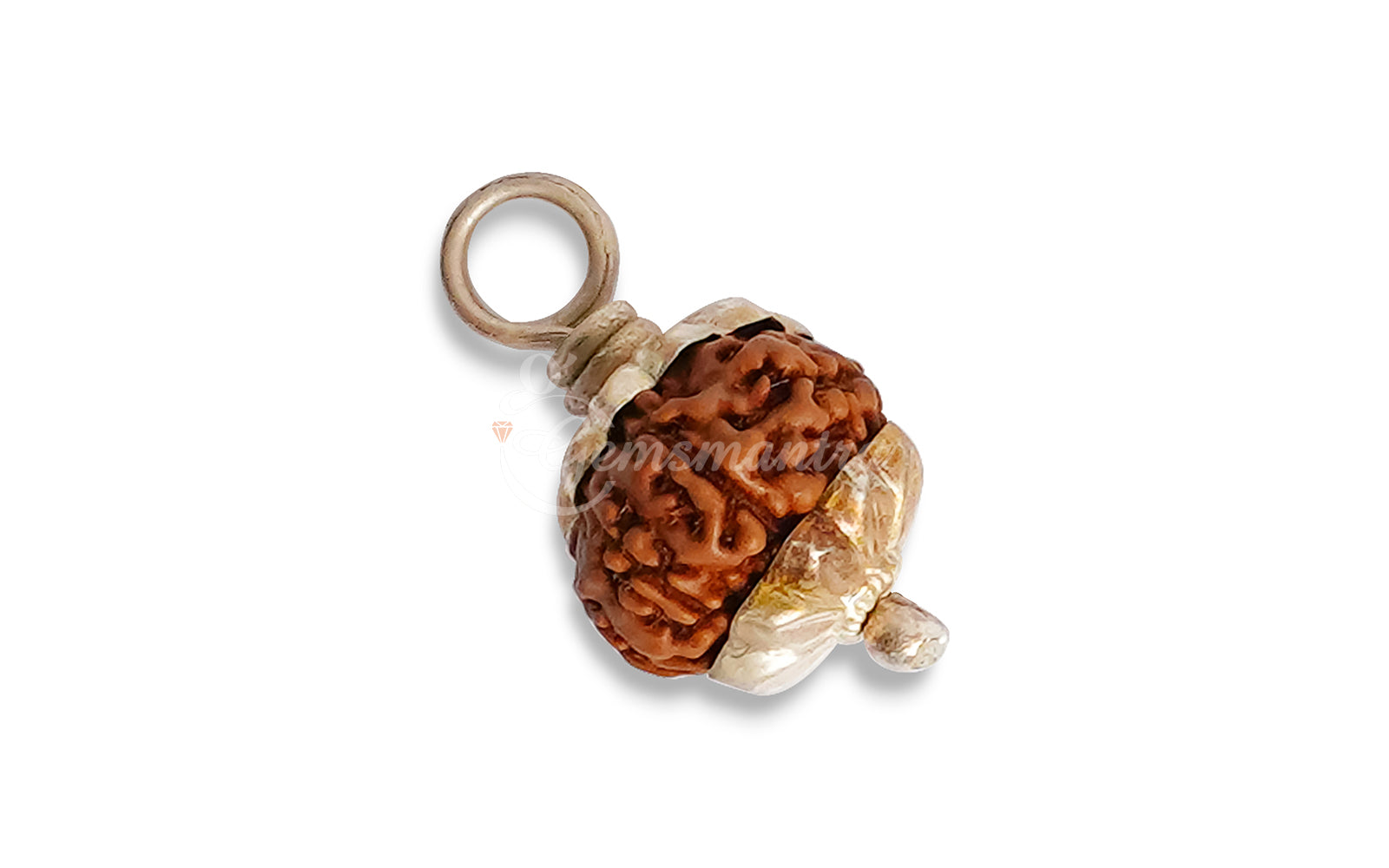 10 Mukhi Rudraksha (Indo)