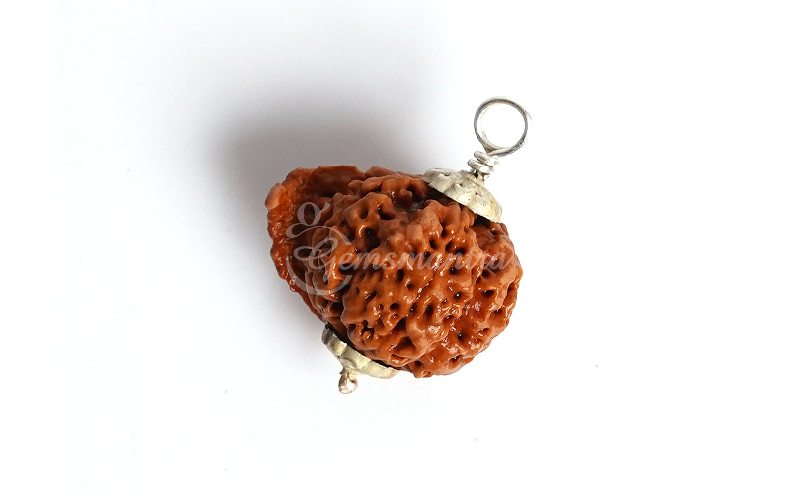 Ganesha Rudraksha