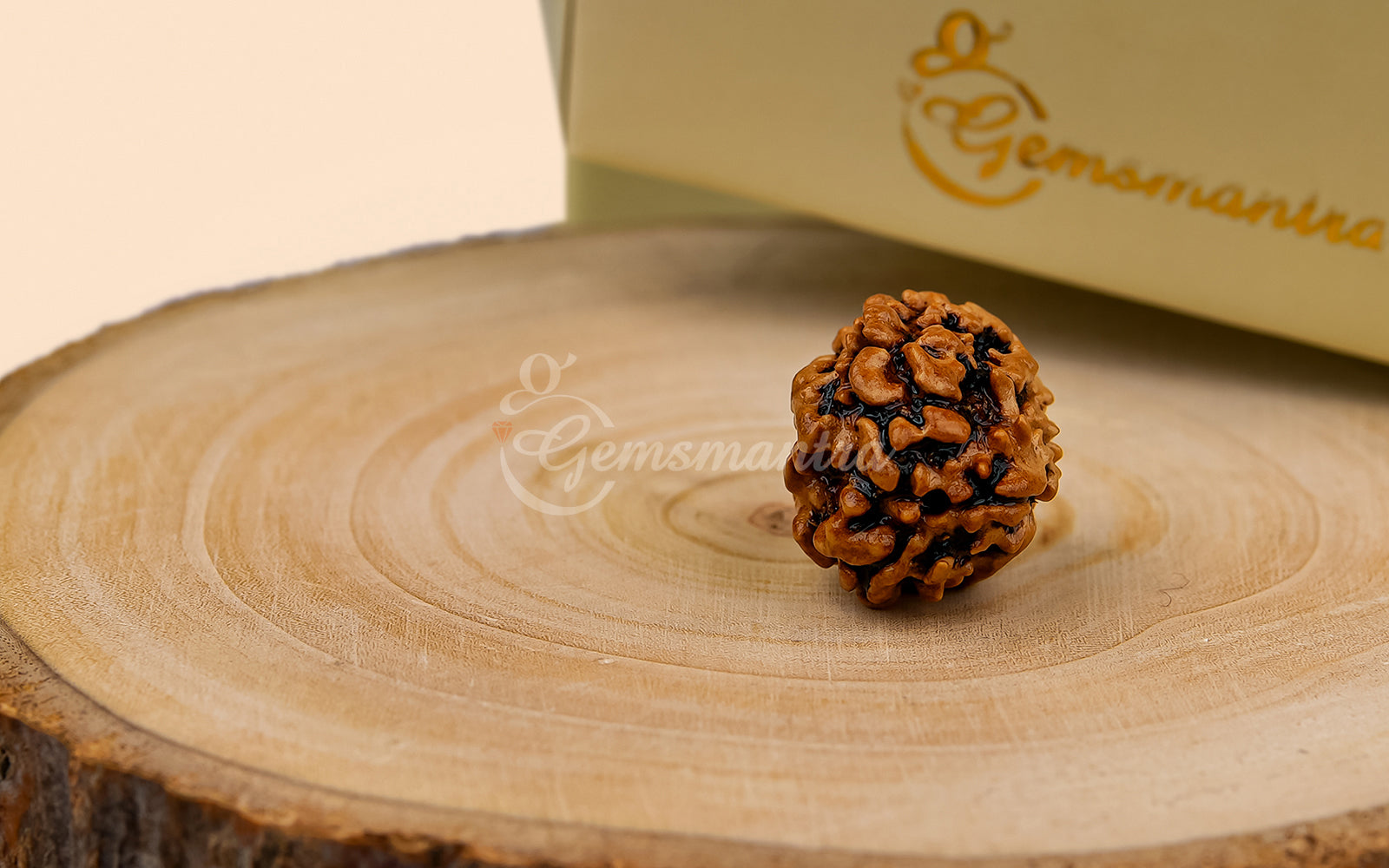 3 Mukhi Rudraksha (Nepali)