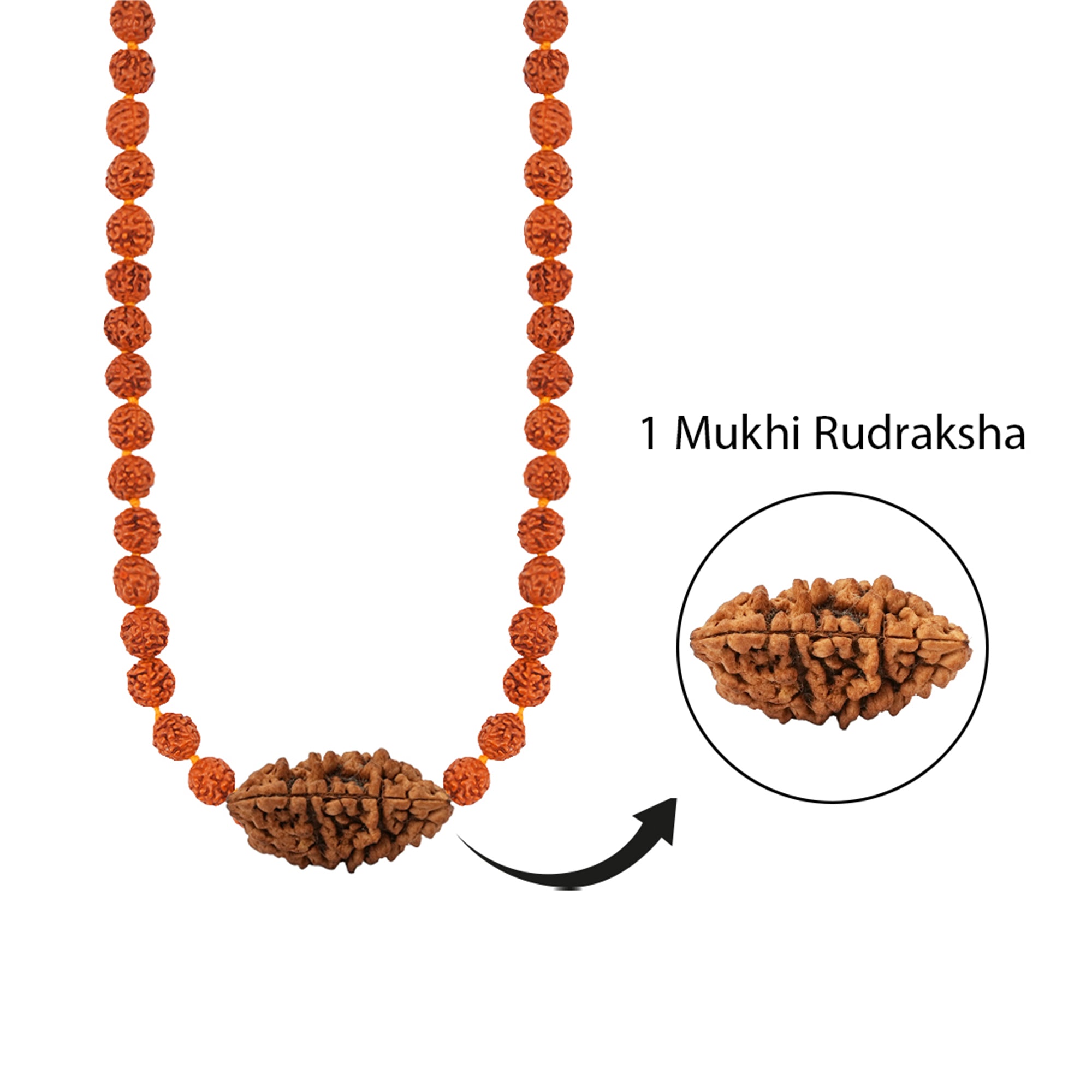 Shiva Sankalp Mala – 1 Mukhi Rudraksha