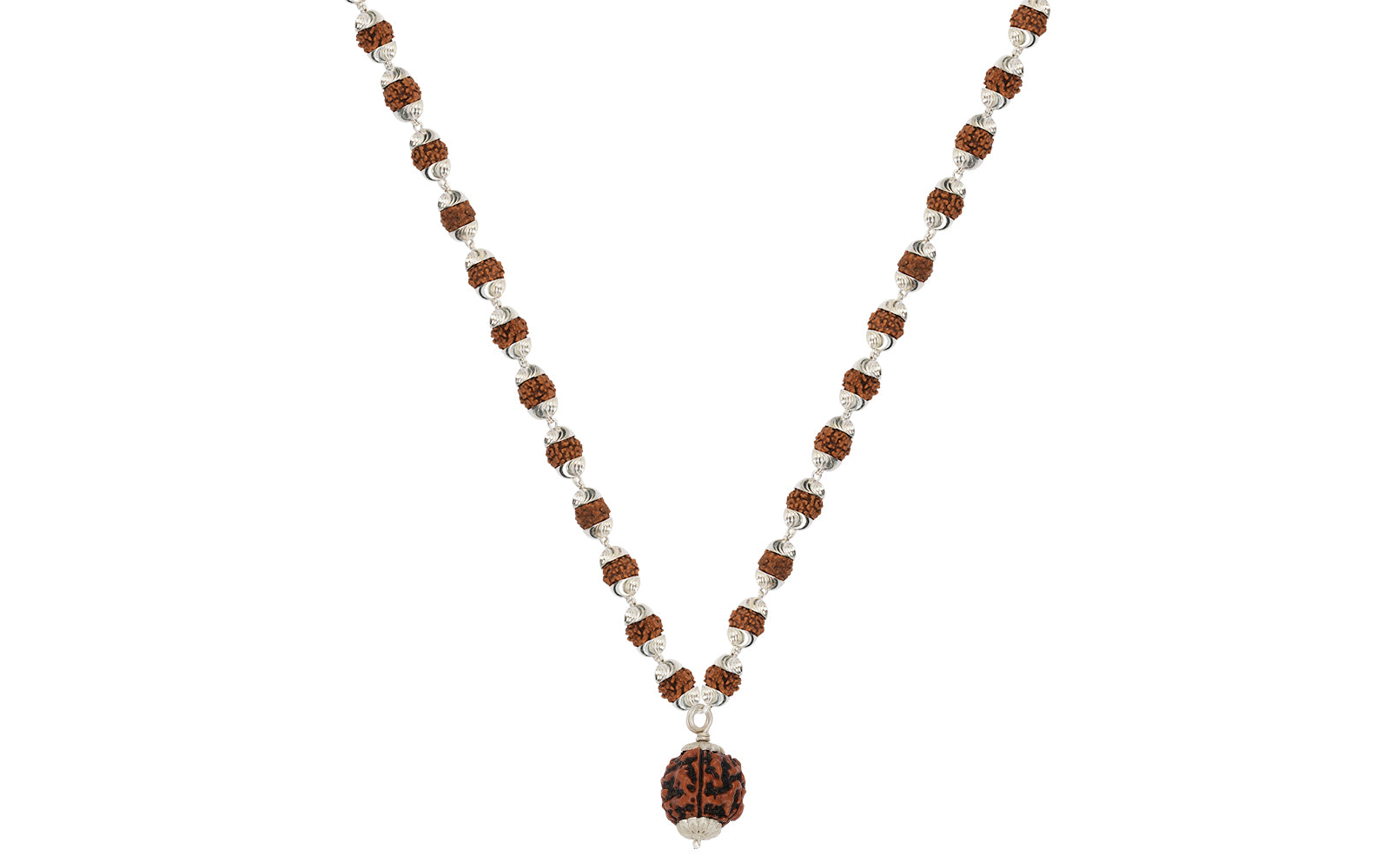 4 Mukhi Rudraksha (Nepali)