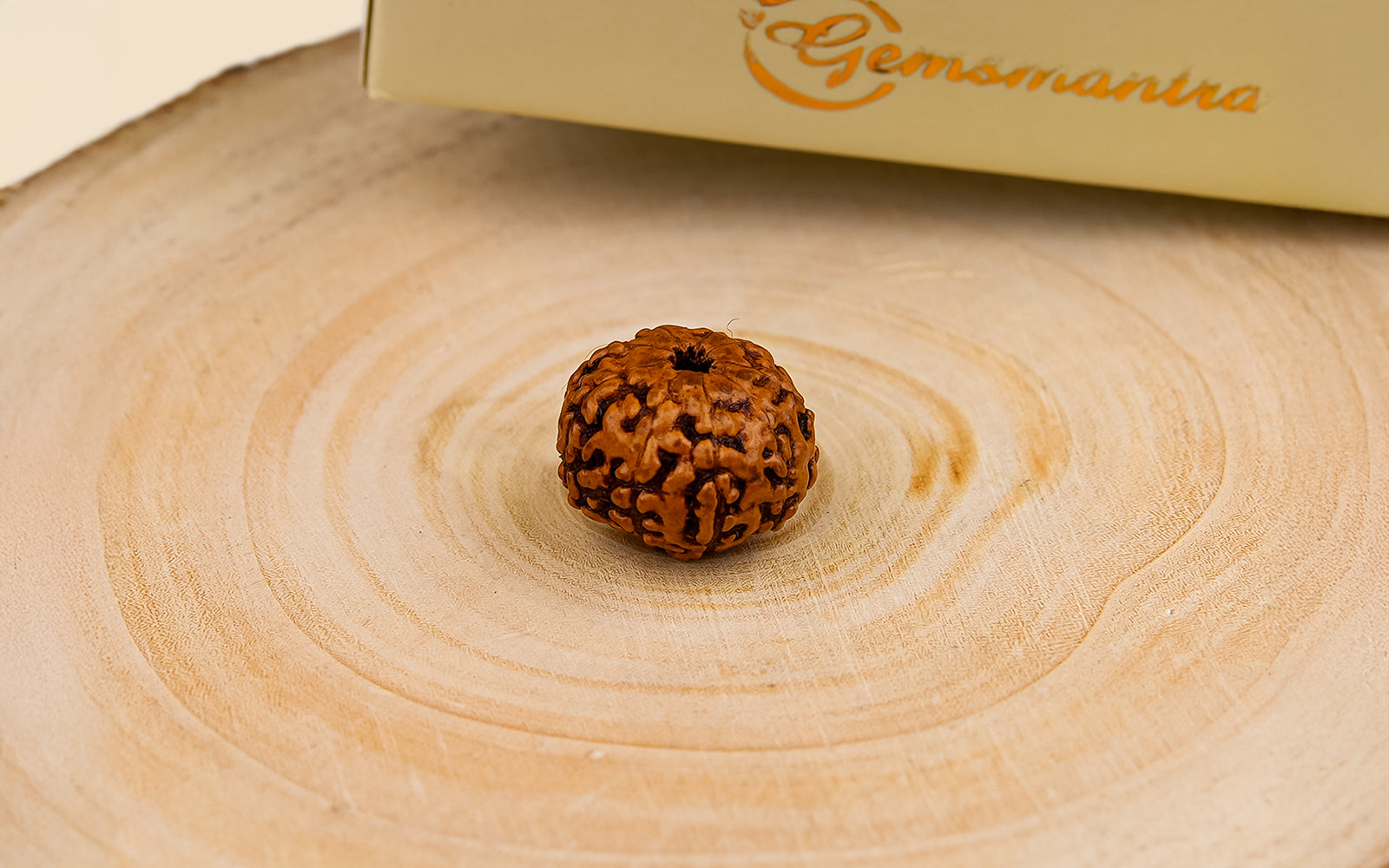 9 Mukhi Rudraksha – Original Indonesian Bead