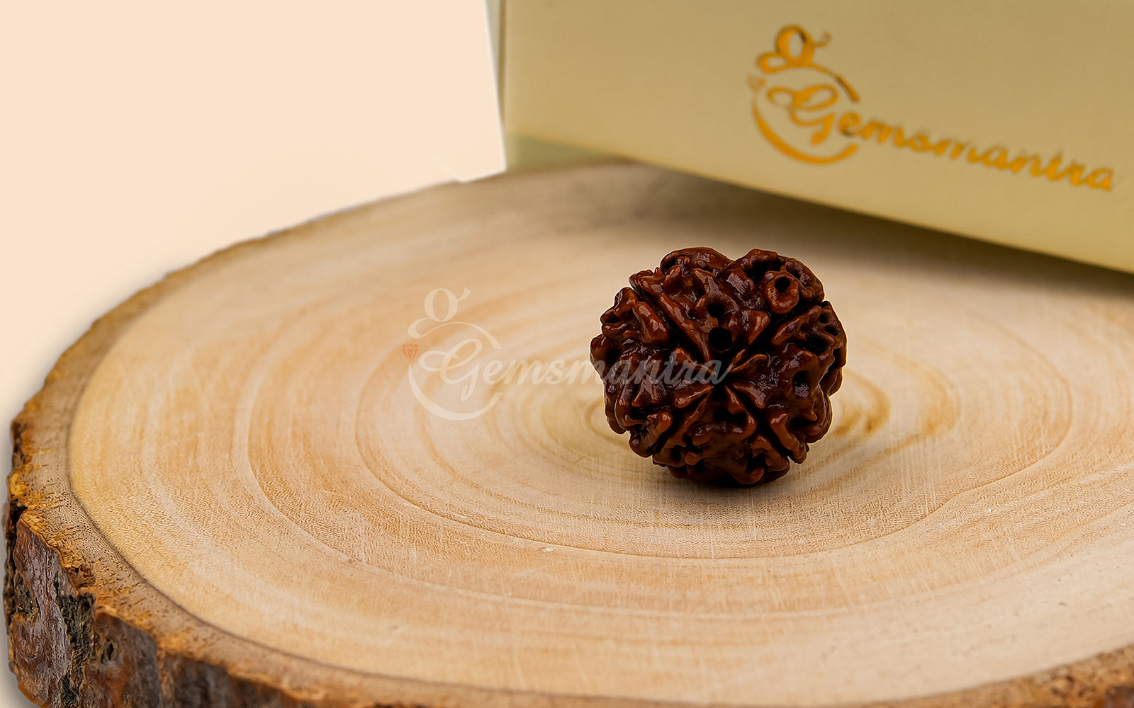 4 Mukhi Rudraksha (Nepali)