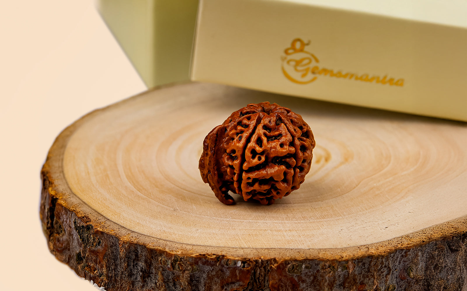 Ganesha Rudraksha