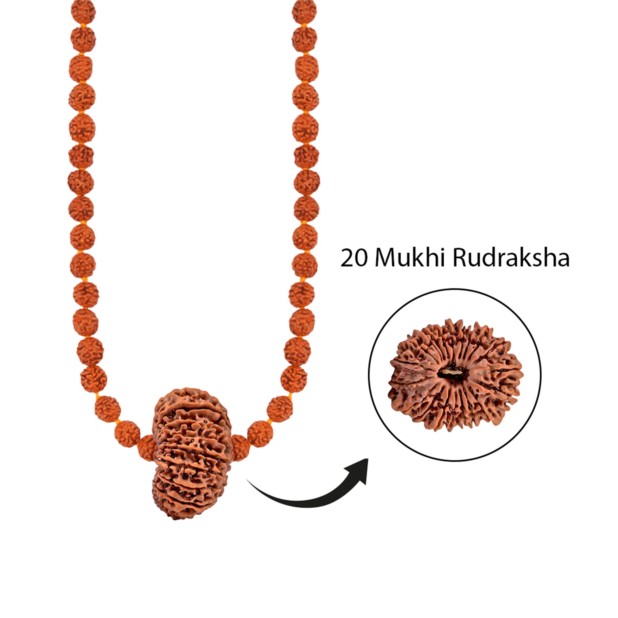 Rudra Vishnu Tattva Mala – 20 Mukhi Rudraksha