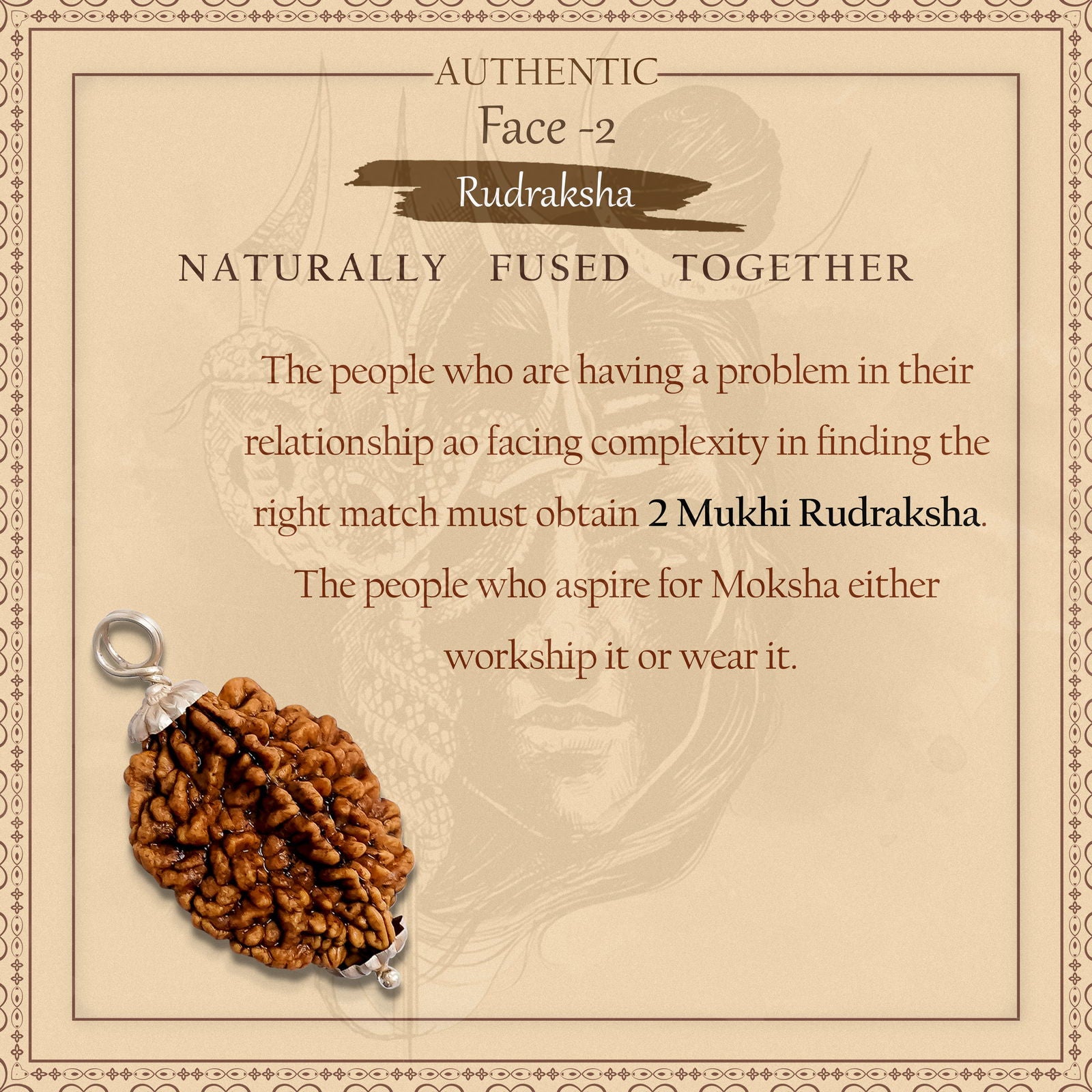 2 Mukhi Rudraksha - Gemsmantra