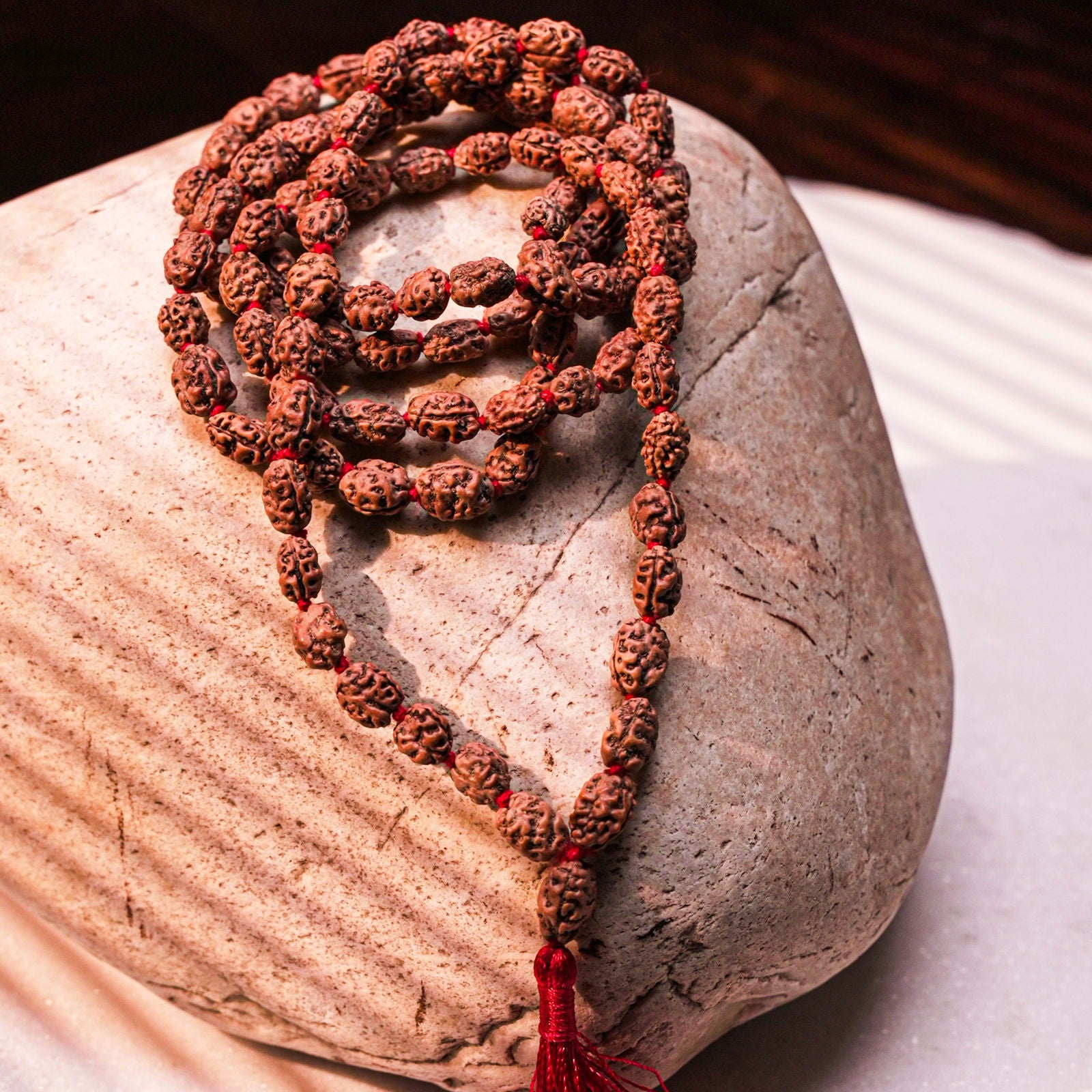 2 Mukhi Rudraksha Mala - Gemsmantra