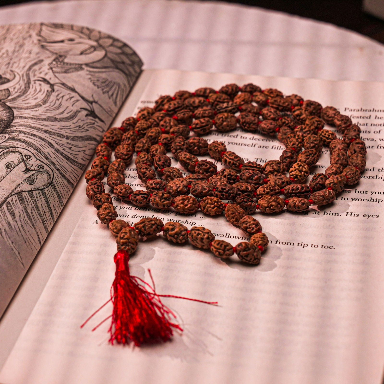 2 Mukhi Rudraksha Mala - Gemsmantra