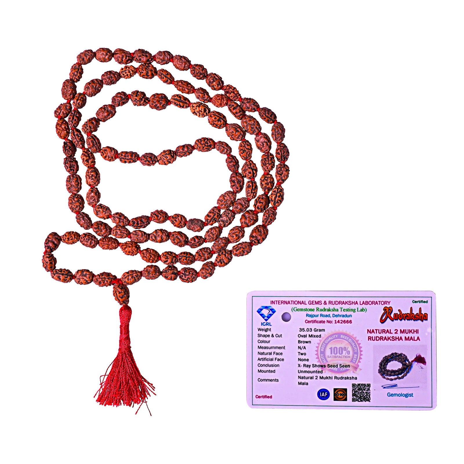 2 Mukhi Rudraksha Mala - Gemsmantra