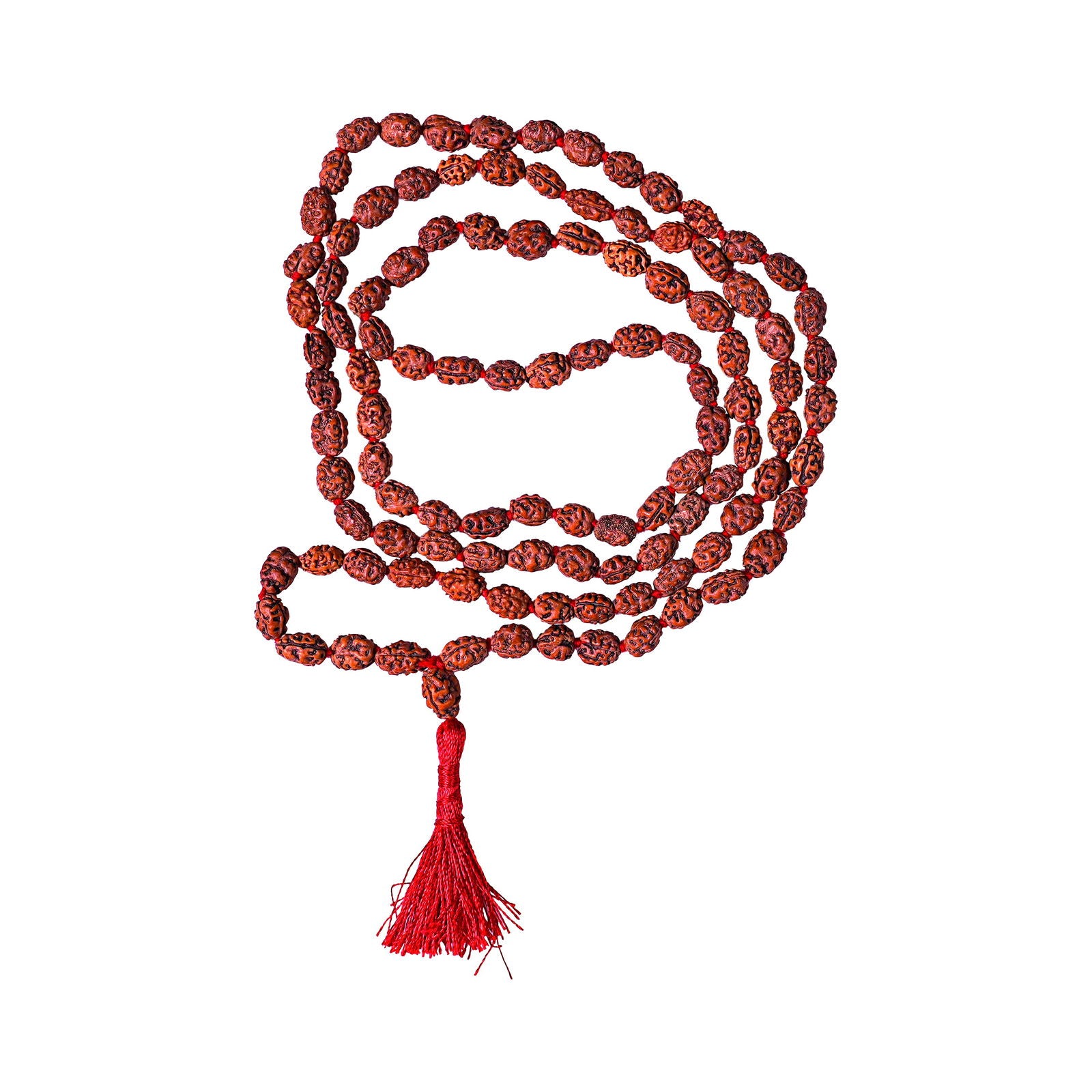 2 Mukhi Rudraksha Mala - Gemsmantra