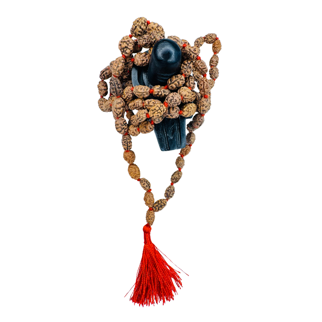 2 Mukhi Rudraksha Mala - Gemsmantra