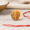 Certified 2 Mukhi Indian Rudraksha bead — Gemsmantra