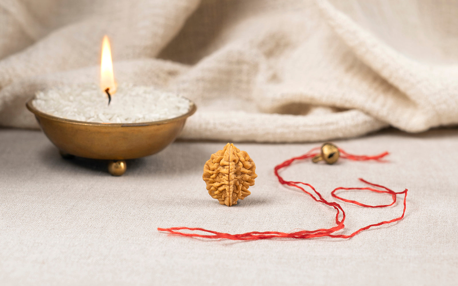 2 Mukhi Rudraksha (Nepali)