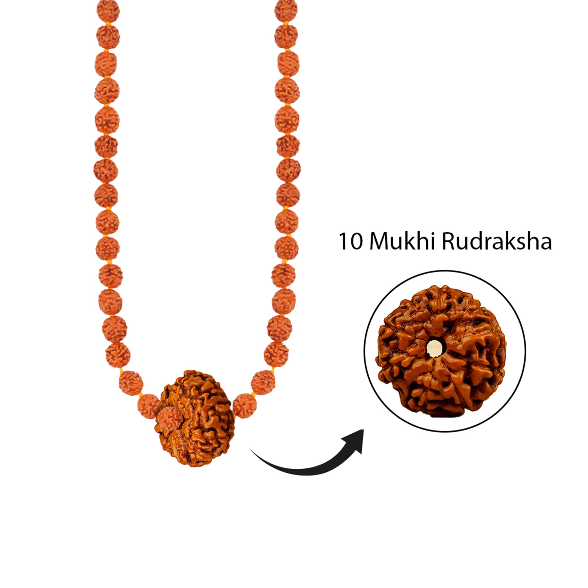 Ananta Raksha Mala – 10 Mukhi Rudraksha