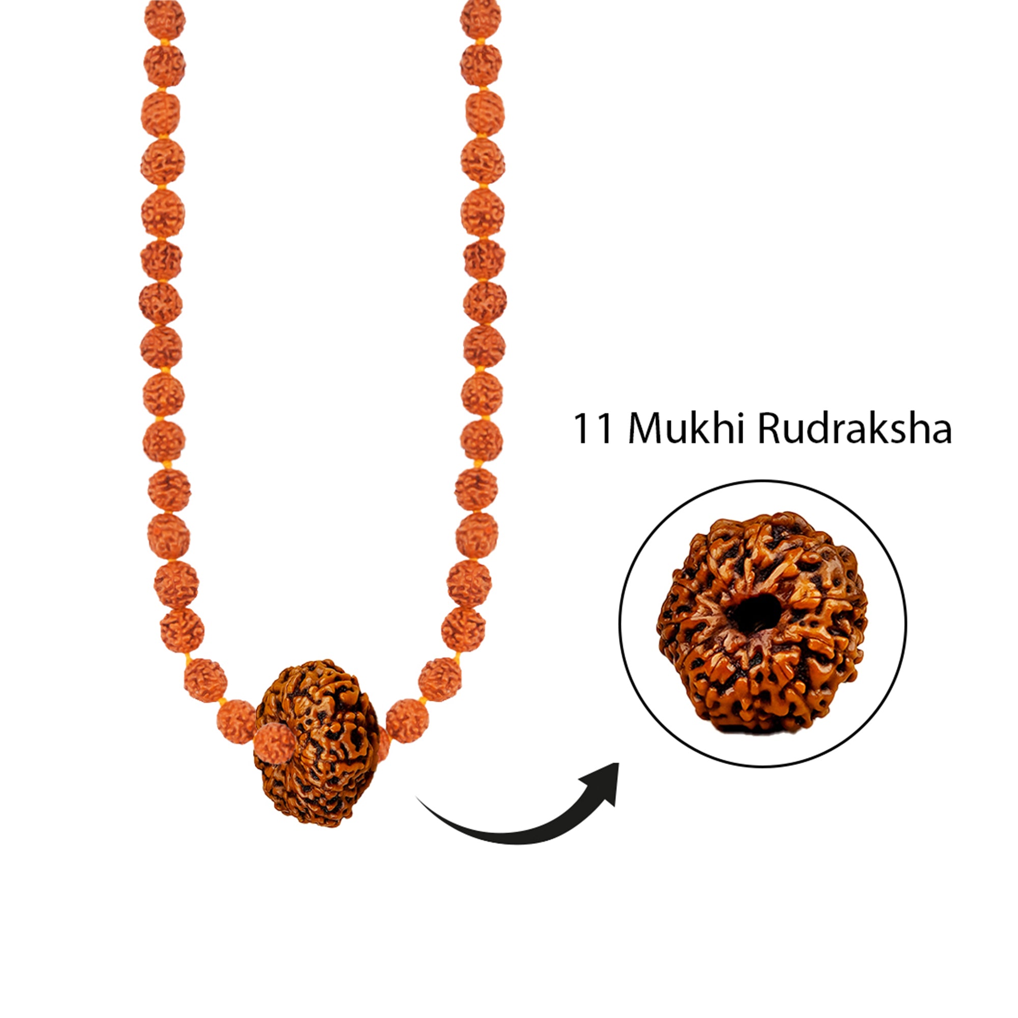 Ekadash Jyoti Mala – 11 Mukhi Rudraksha