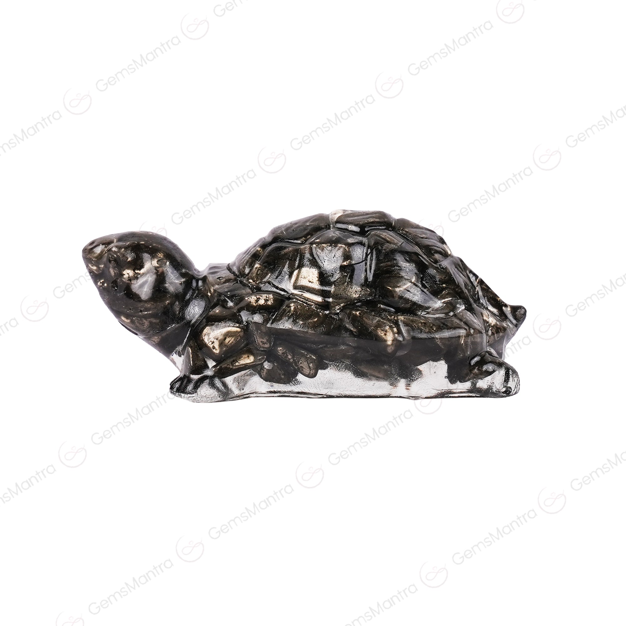 The Vastu Pyrite Tortoise