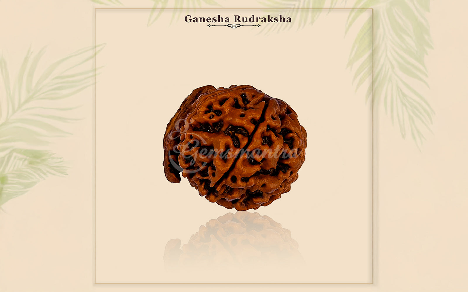 Ganesha Rudraksha