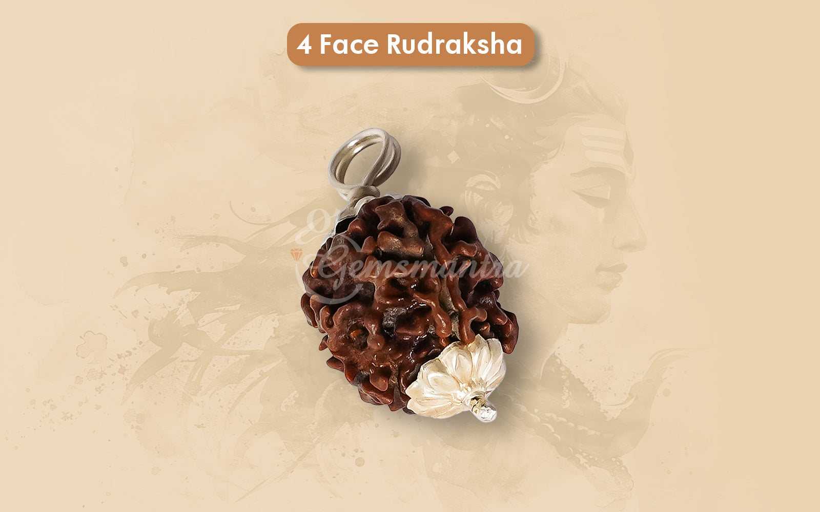 4 Mukhi Rudraksha (Nepali)