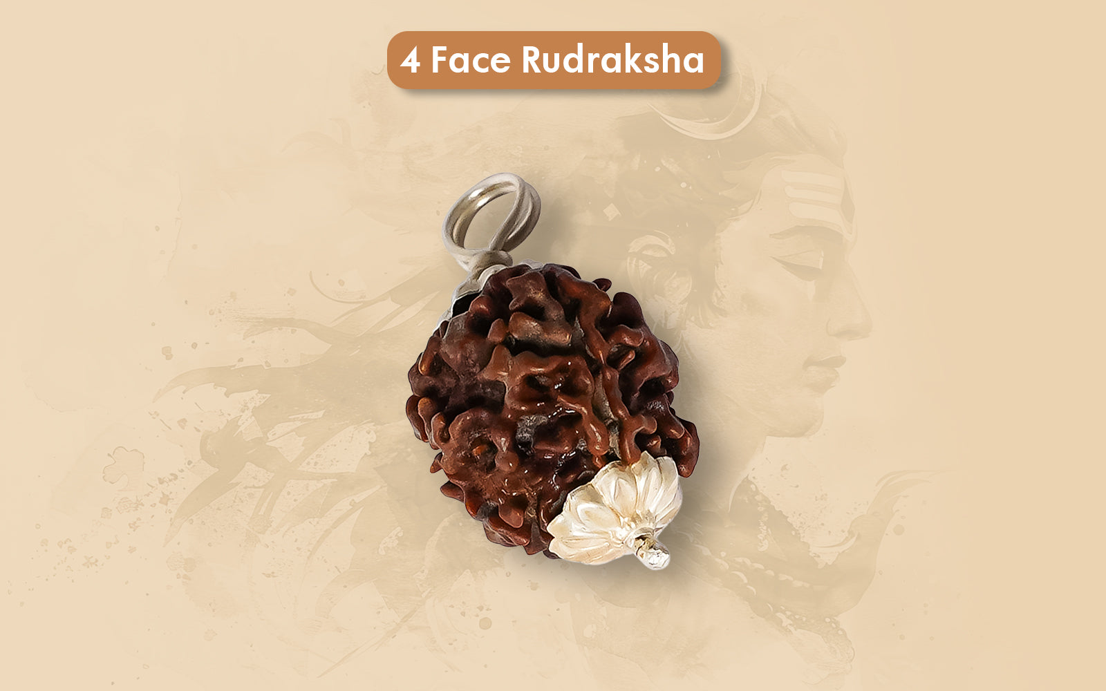 4 Mukhi Rudraksha (Nepali)