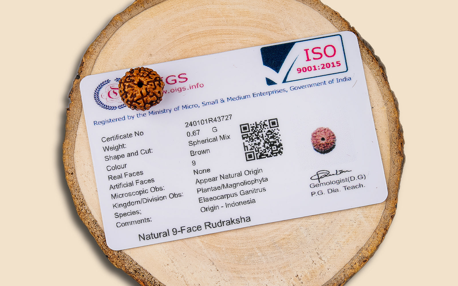 9 Mukhi Rudraksha – Original Indonesian Bead