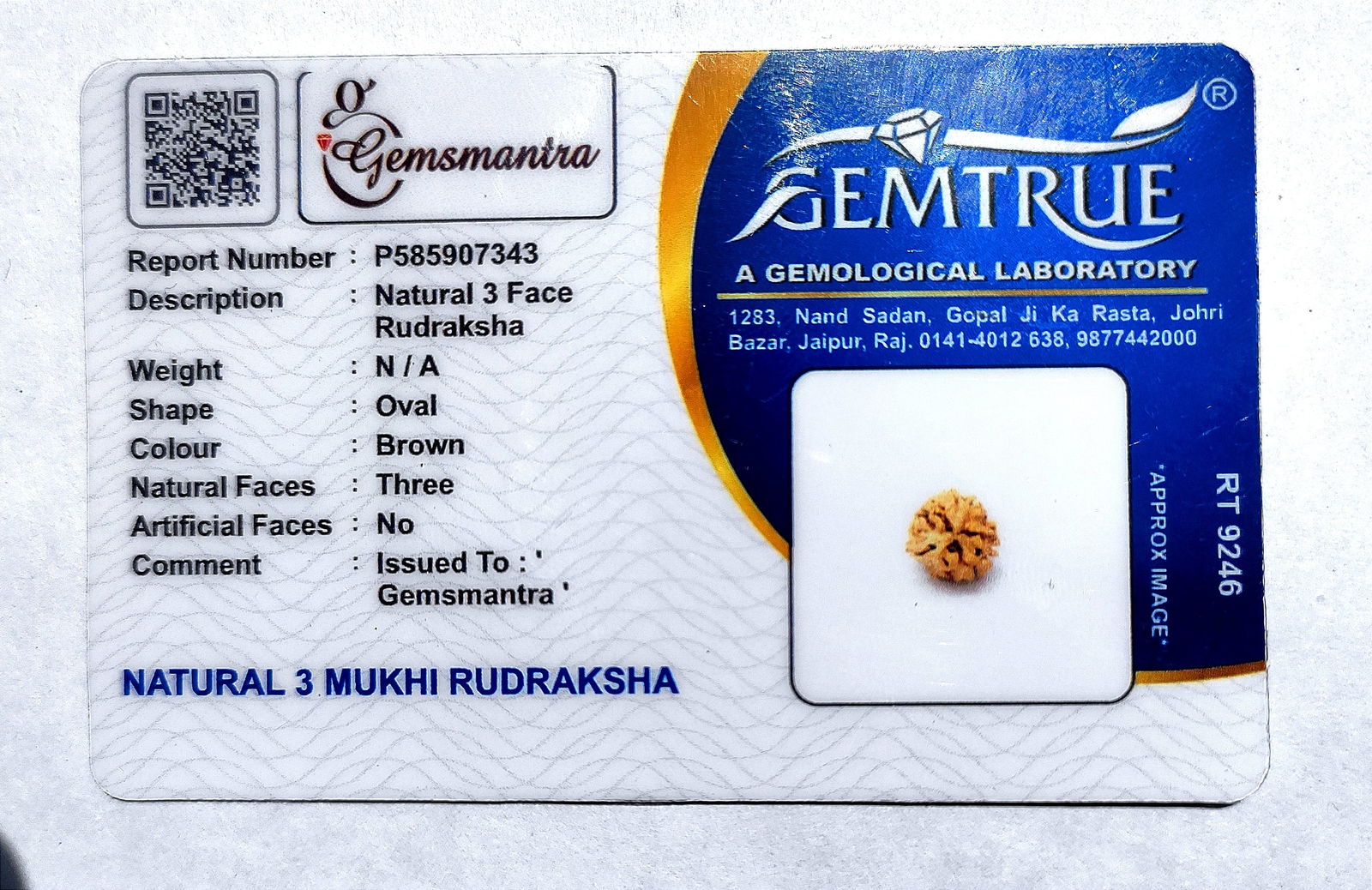 3 Mukhi Rudraksha - Gemsmantra