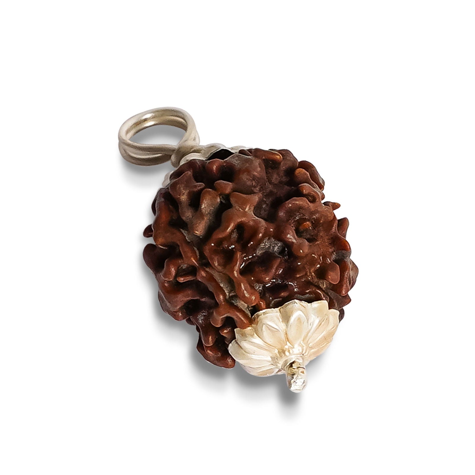 3 Mukhi Rudraksha - Gemsmantra