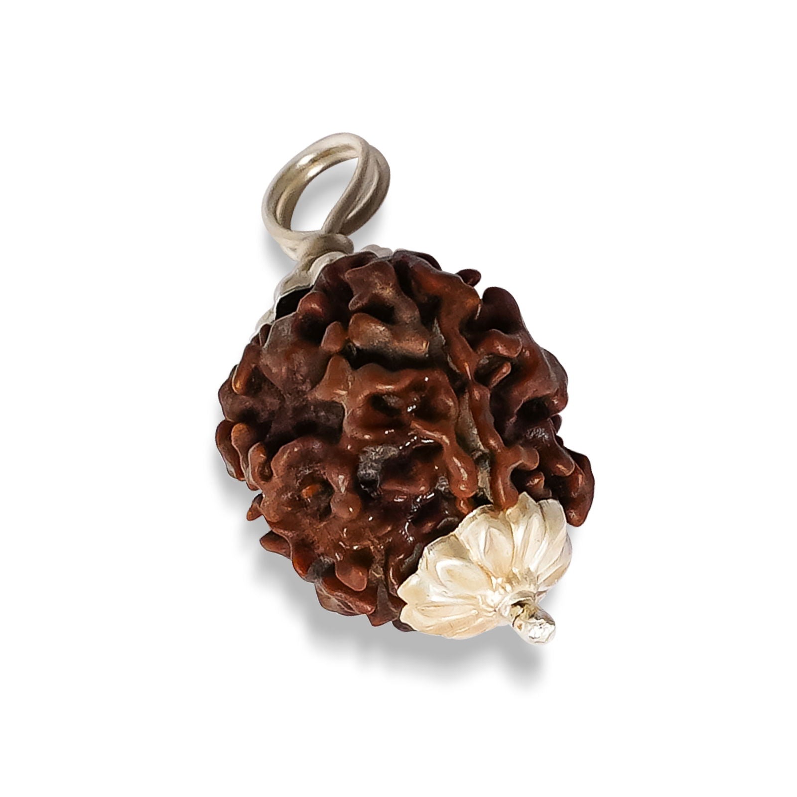 3 Mukhi Rudraksha - Gemsmantra