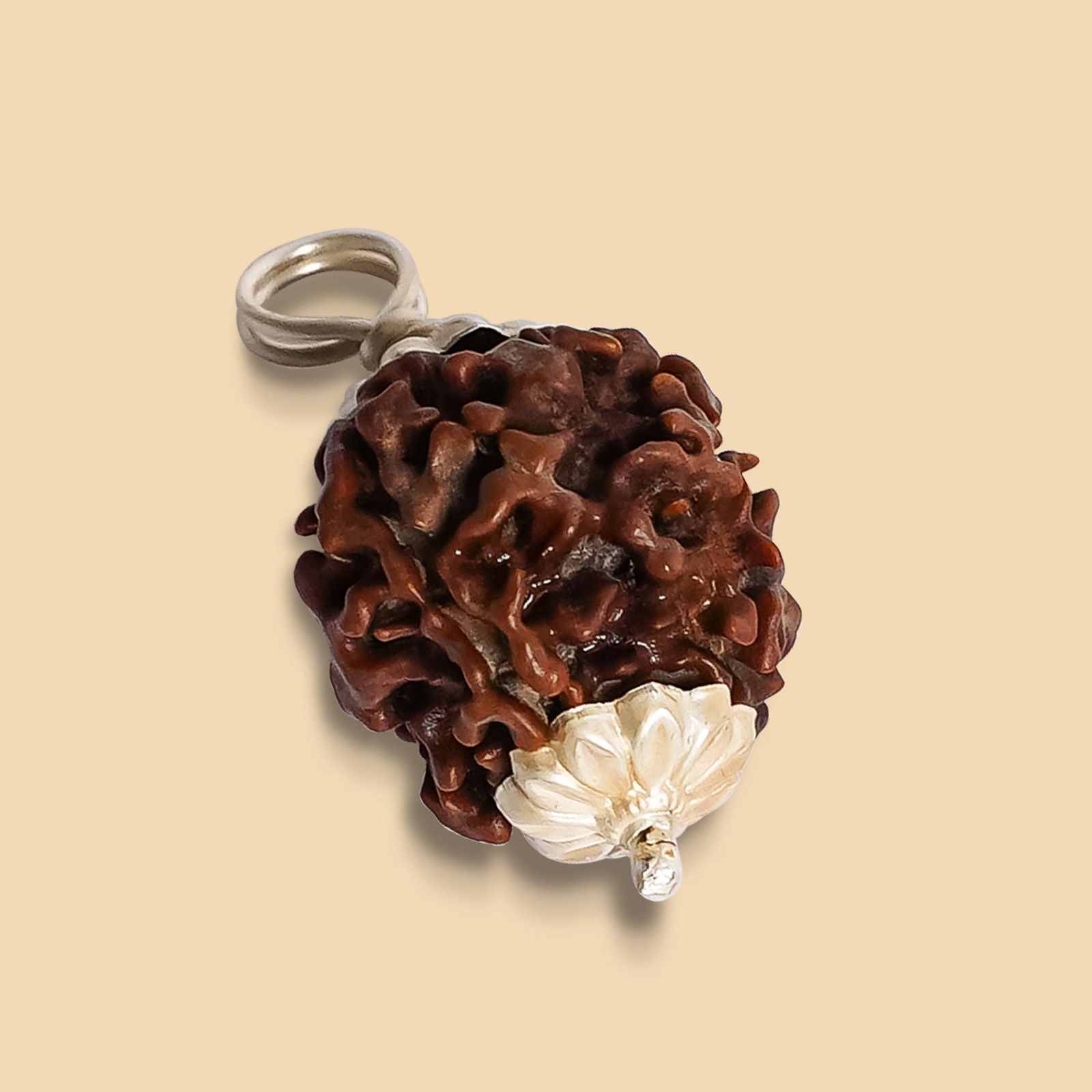 3 Mukhi Rudraksha - Gemsmantra