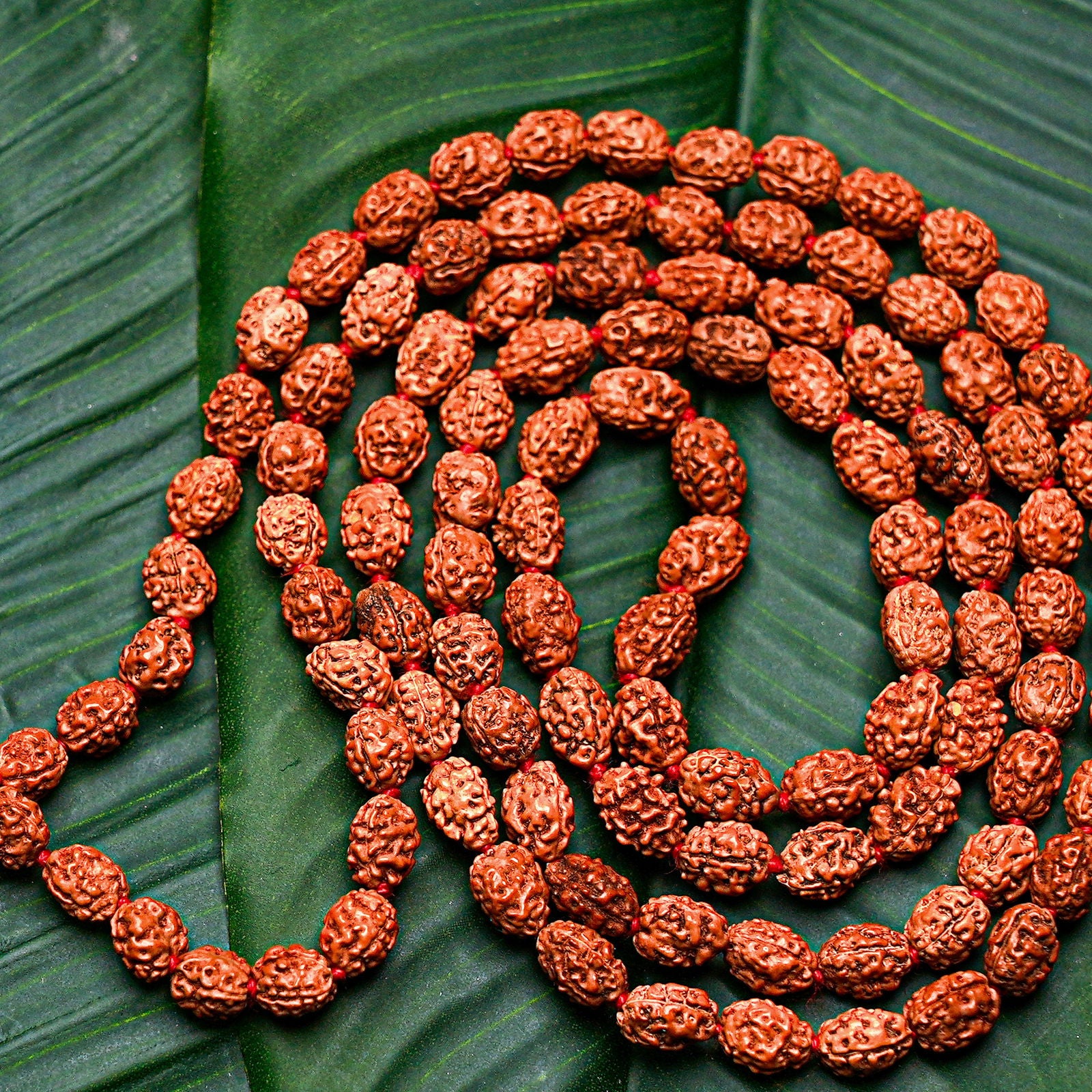 3 Mukhi Rudraksha Mala - Gemsmantra