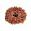 Natural 20 Mukhi Rudraksha (Nepali)
