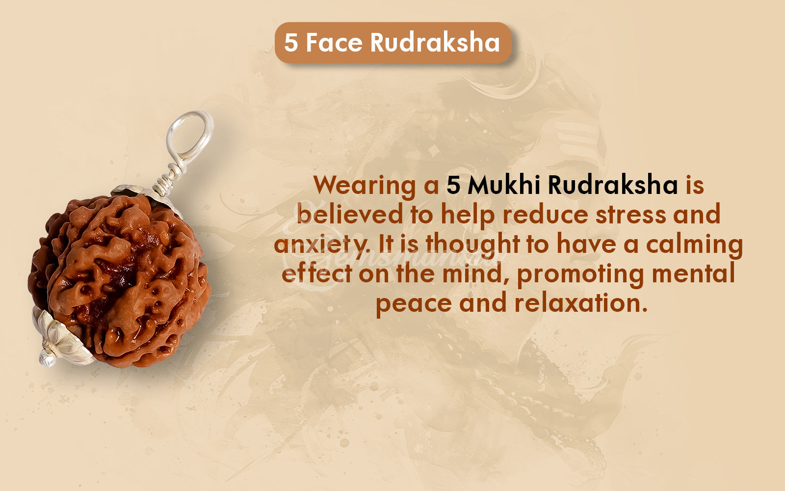 5 Mukhi Rudraksha (Nepali)