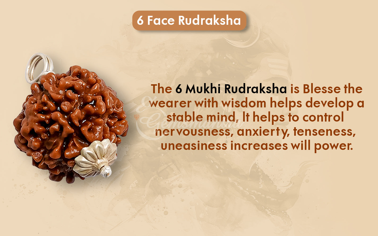 6 Mukhi Rudraksha (Nepali)