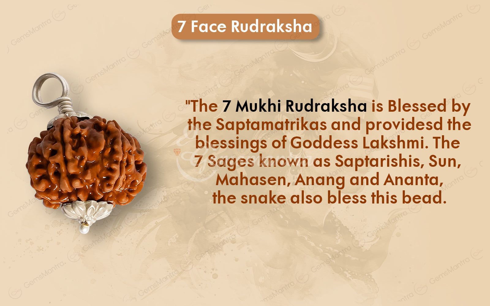 Natural 7 Mukhi Rudraksha