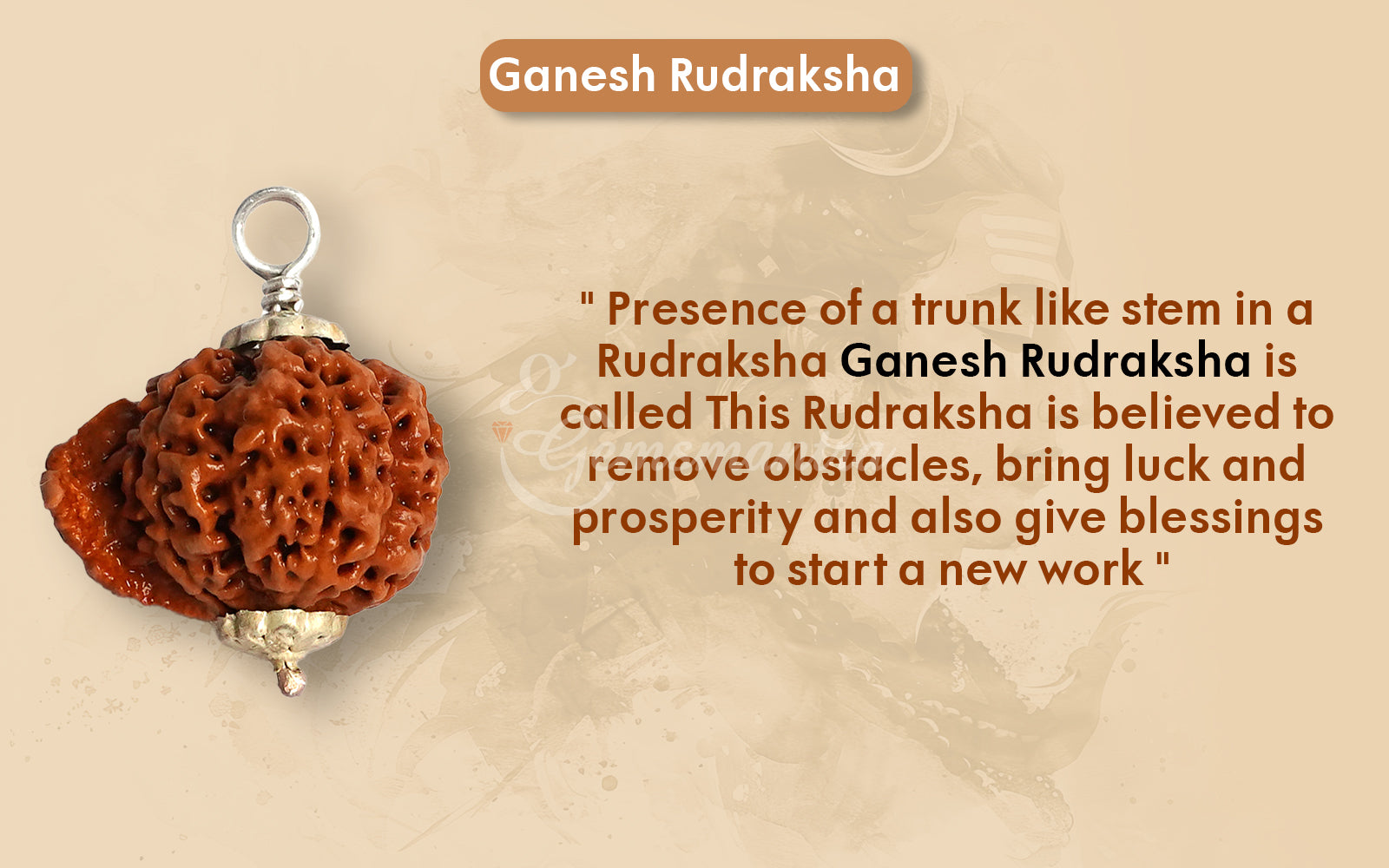 Ganesha Rudraksha