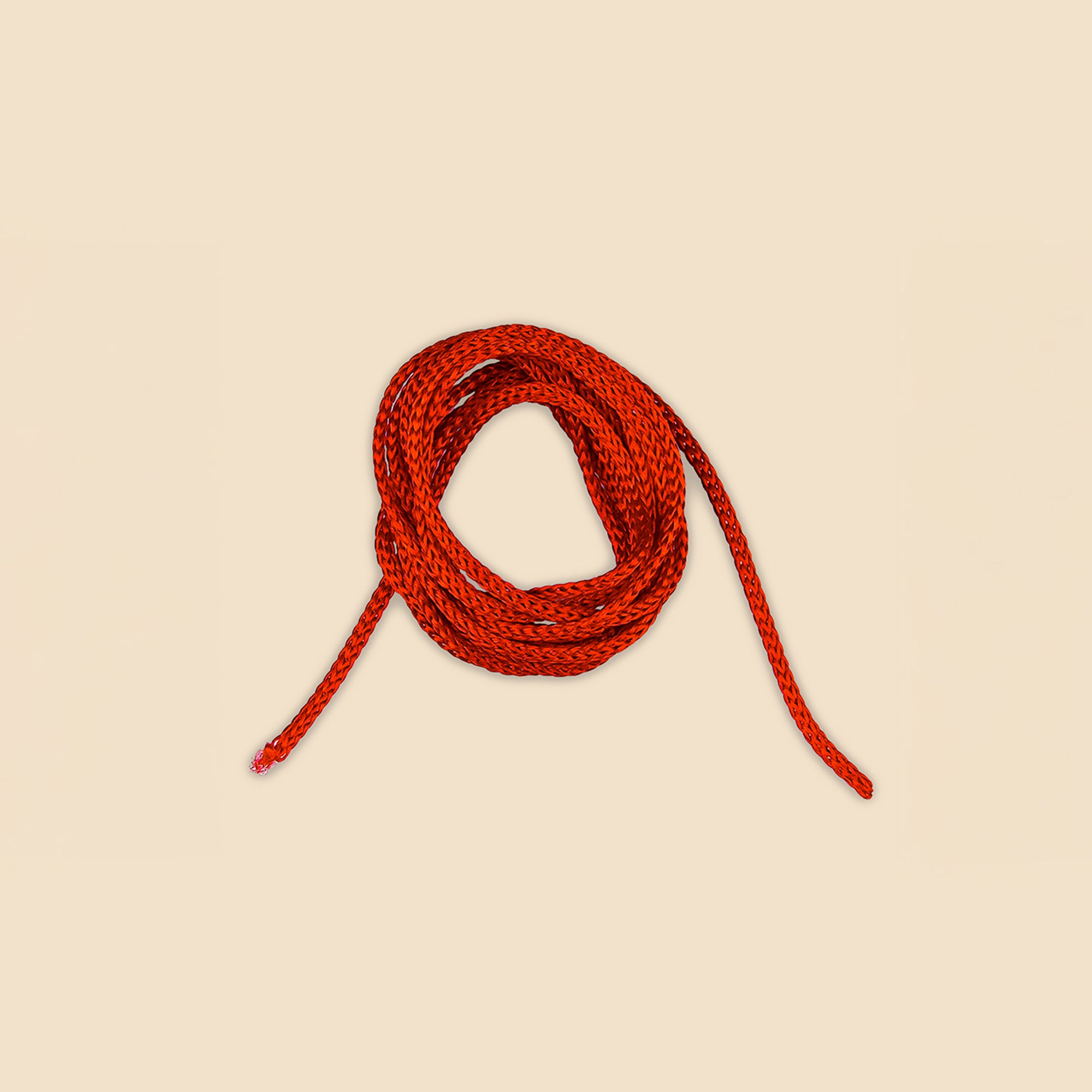 13 Mukhi Rudraksha – Original Indonesian Bead
