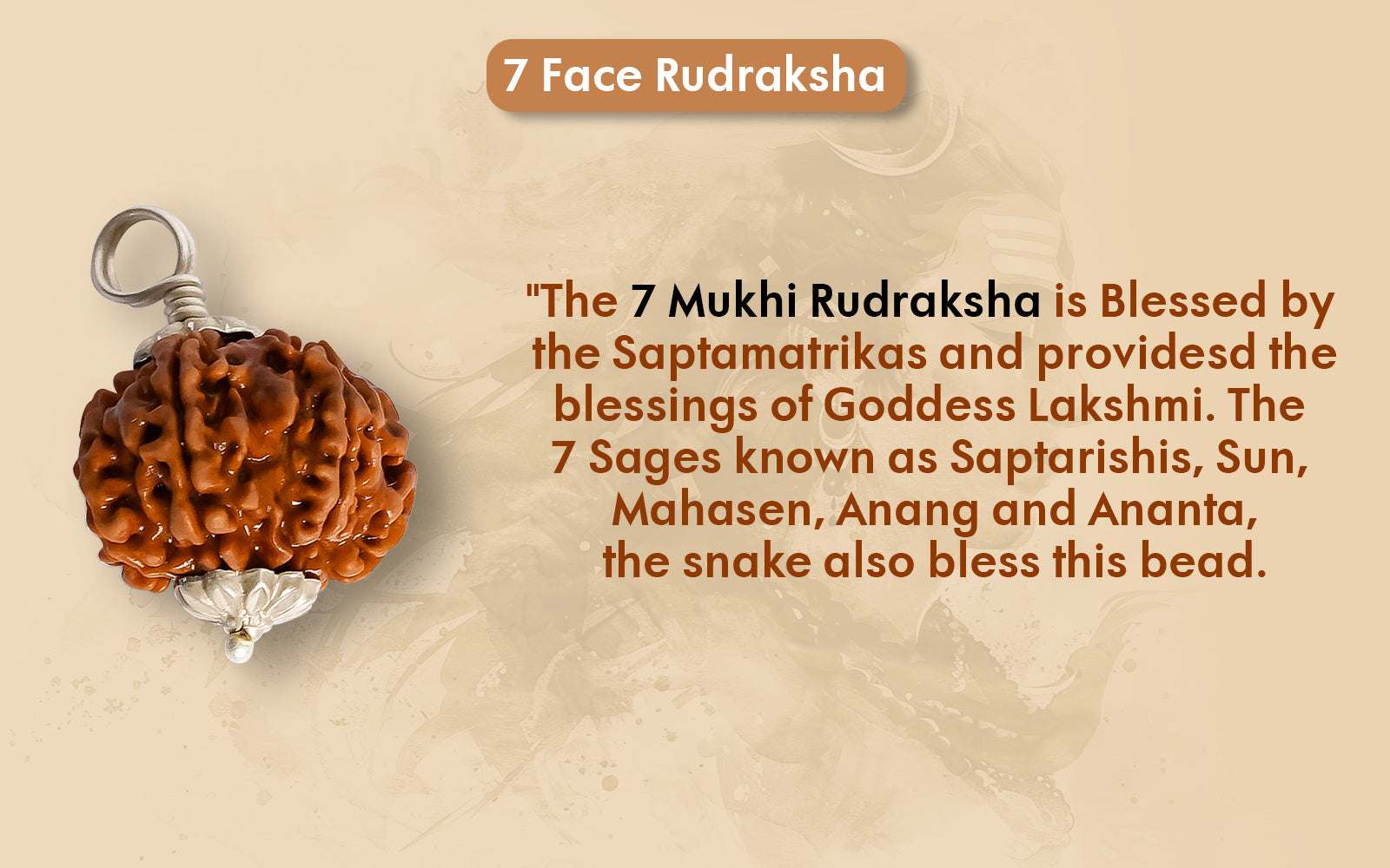 7 Mukhi Rudraksha (Nepali)